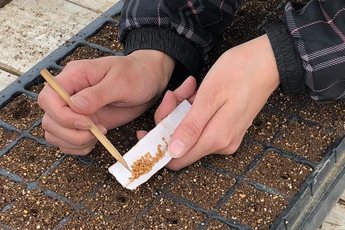 多機能型事業所Seed農作業